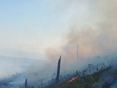 Гурван аймагт ой хээрийн түймэр гарчээ